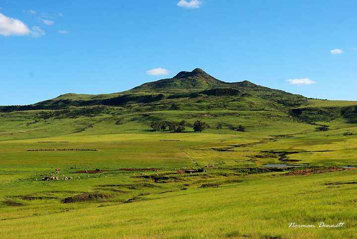 Wakkerstroom vista -Photograph: Norman Dennett