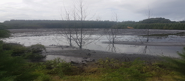 Slimes dam